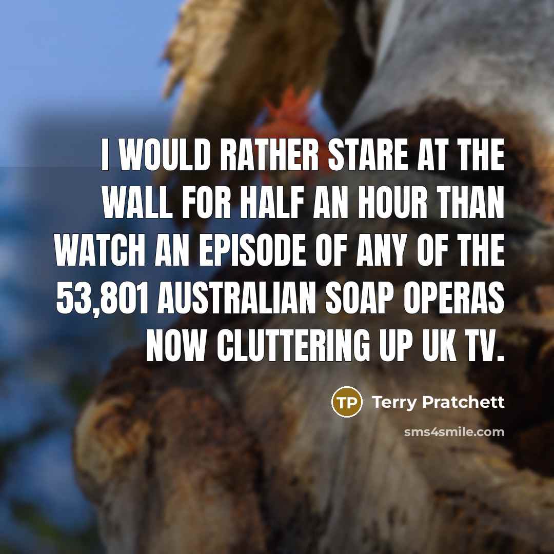 “I would rather stare at the wall for half an hour than watch an episode of any of the 53,801 Australian soap operas now cluttering up UK TV.” quote by Terry Pratchett