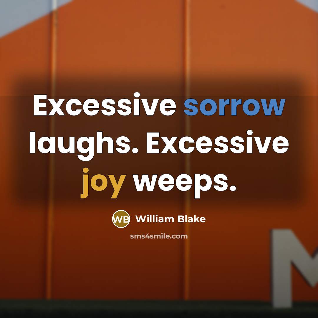 “Excessive sorrow laughs. Excessive joy weeps.” quote by William Blake
