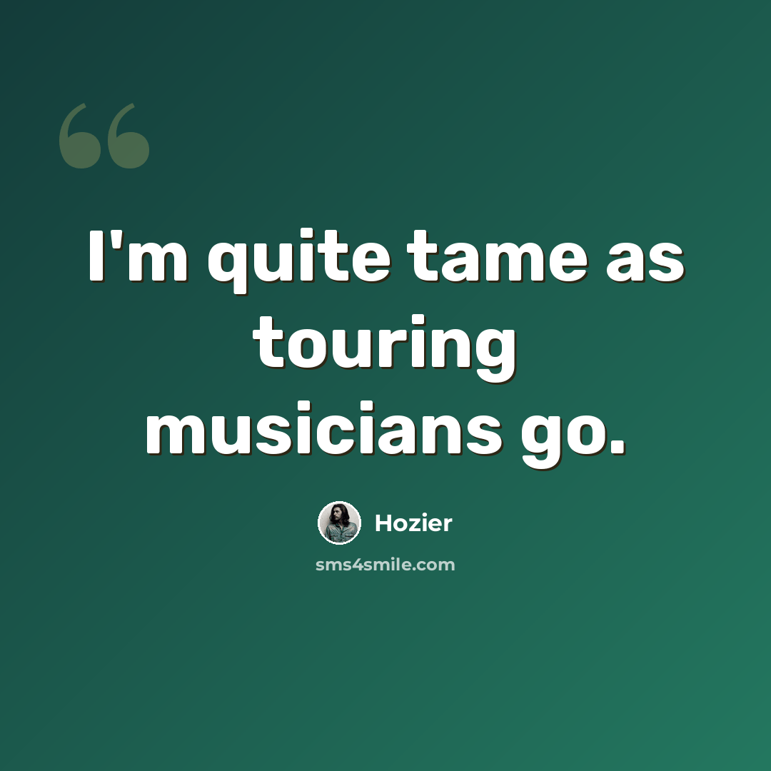 “I'm quite tame as touring musicians go.” quote by Hozier