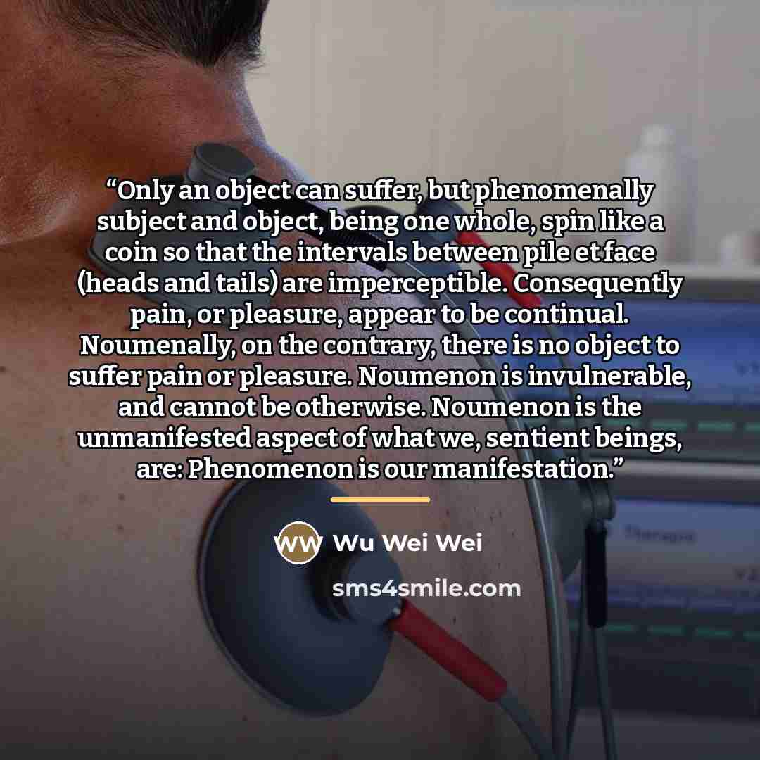 “Only an object can suffer, but phenomenally subject and object, being one whole, spin like a coin so that the intervals between pile et face (heads and tails) are imperceptible. Consequently pain, or pleasure, appear to be continual. Noumenally, on the contrary, there is no object to suffer pain…” quote by Wu Wei Wei