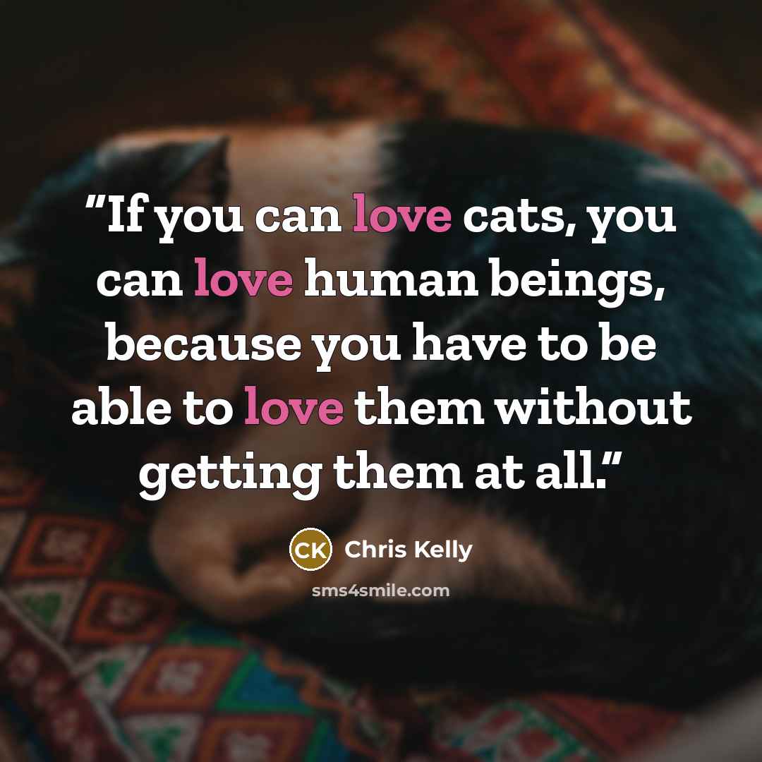 “If you can love cats, you can love human beings, because you have to be able to love them without getting them at all.” quote by Chris Kelly