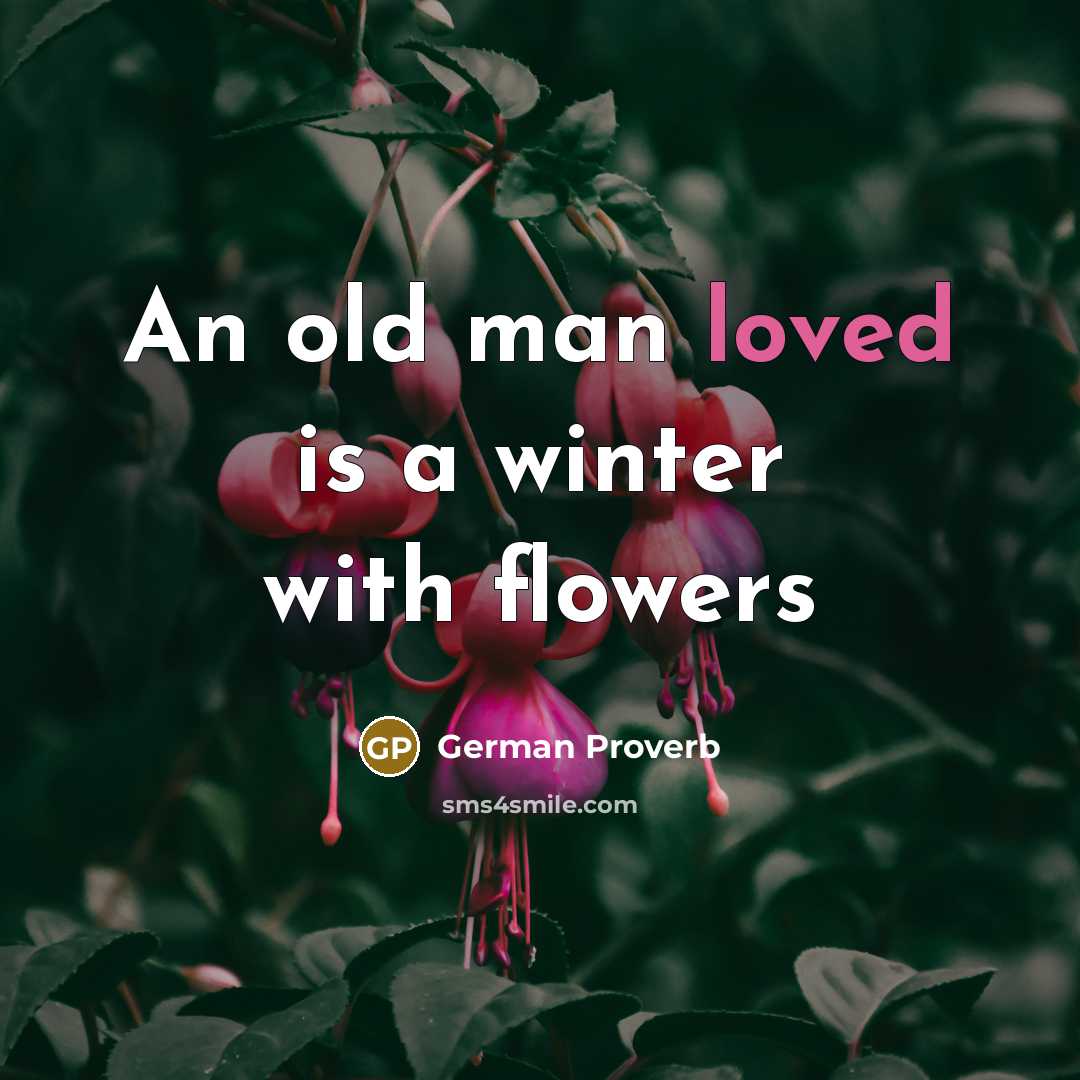 “An old man loved is a winter with flowers” quote by German Proverb