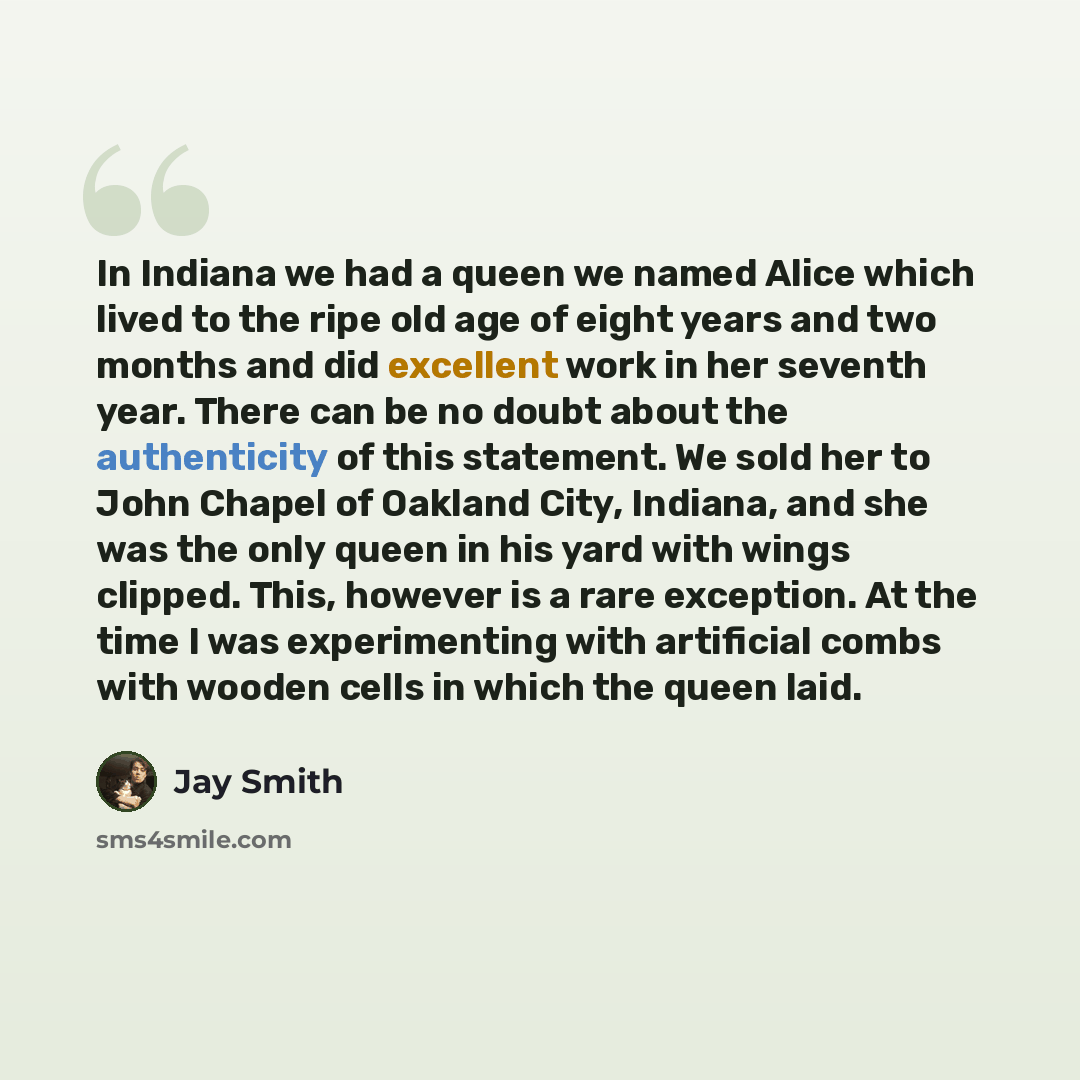 “In Indiana we had a queen we named Alice which lived to the ripe old age of eight years and two months and did excellent work in her seventh year. There can be no doubt about the authenticity of this statement. We sold her to John Chapel of Oakland City, Indiana, and she was the only queen in his…” quote by Jay Smith