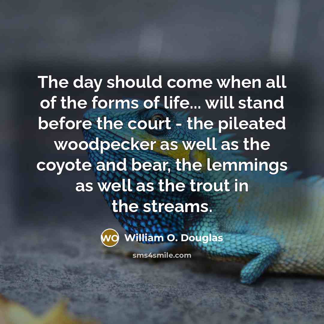 “The day should come when all of the forms of life... will stand before the court - the pileated woodpecker as well as the coyote and bear, the lemmings as well as the trout in the streams.” quote by William O. Douglas
