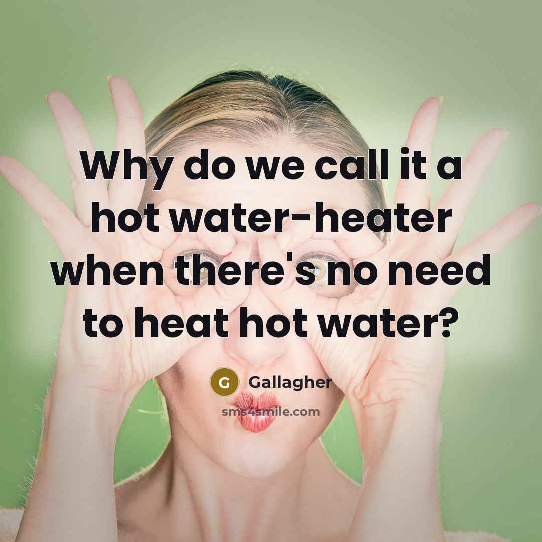 “Why do we call it a hot water-heater when there's no need to heat hot water?” quote by Gallagher