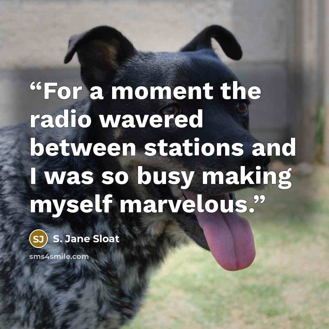 “For a moment the radio wavered between stations and I was so busy making myself marvelous.” quote by S. Jane Sloat
