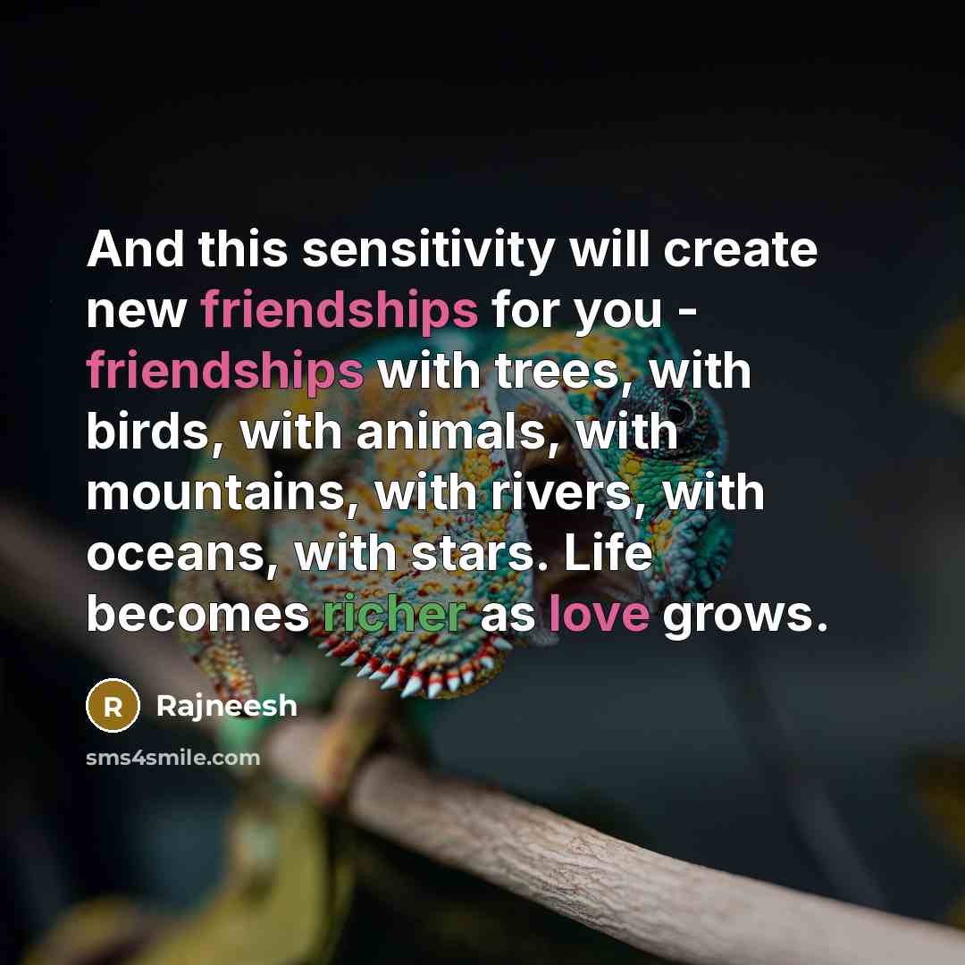 “And this sensitivity will create new friendships for you - friendships with trees, with birds, with animals, with mountains, with rivers, with oceans, with stars. Life becomes richer as love grows.” quote by Rajneesh