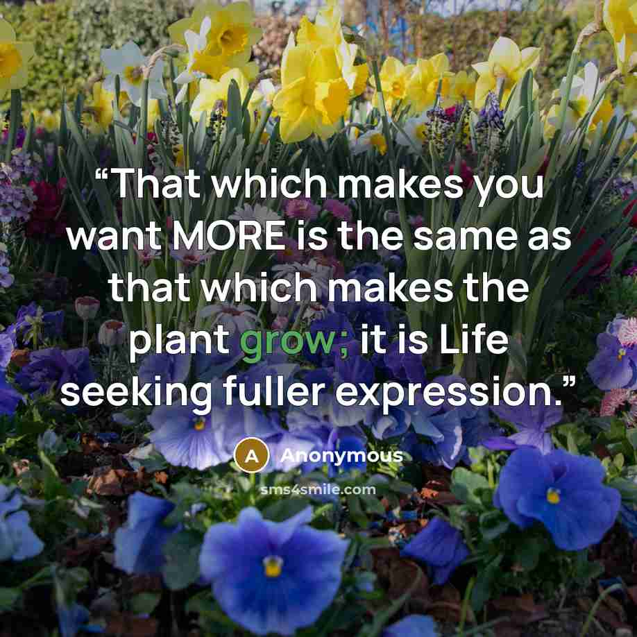 “That which makes you want MORE is the same as that which makes the plant grow; it is Life seeking fuller expression.” quote by Anonymous
