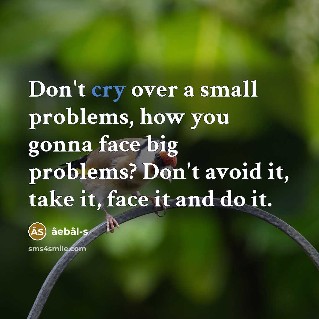 “Don't cry over a small problems, how you gonna face big problems? Don't avoid it, take it, face it and do it.” quote by âebâl-s