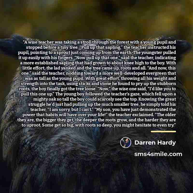 “A wise teacher was taking a stroll through the forest with a young pupil and stopped before a tiny tree. “Pull up that sapling,” the teacher instructed his pupil, pointing to a sprout just coming up from the earth. The youngster pulled it up easily with his fingers. “Now pull up that one,” said…” quote by Darren Hardy