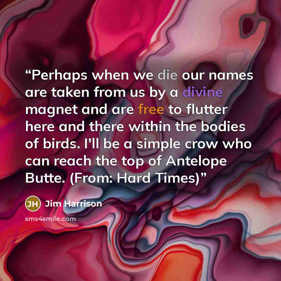 “Perhaps when we die our names are taken from us by a divine magnet and are free to flutter here and there within the bodies of birds. I'll be a simple crow who can reach the top of Antelope Butte. (From: Hard Times)” quote by Jim Harrison