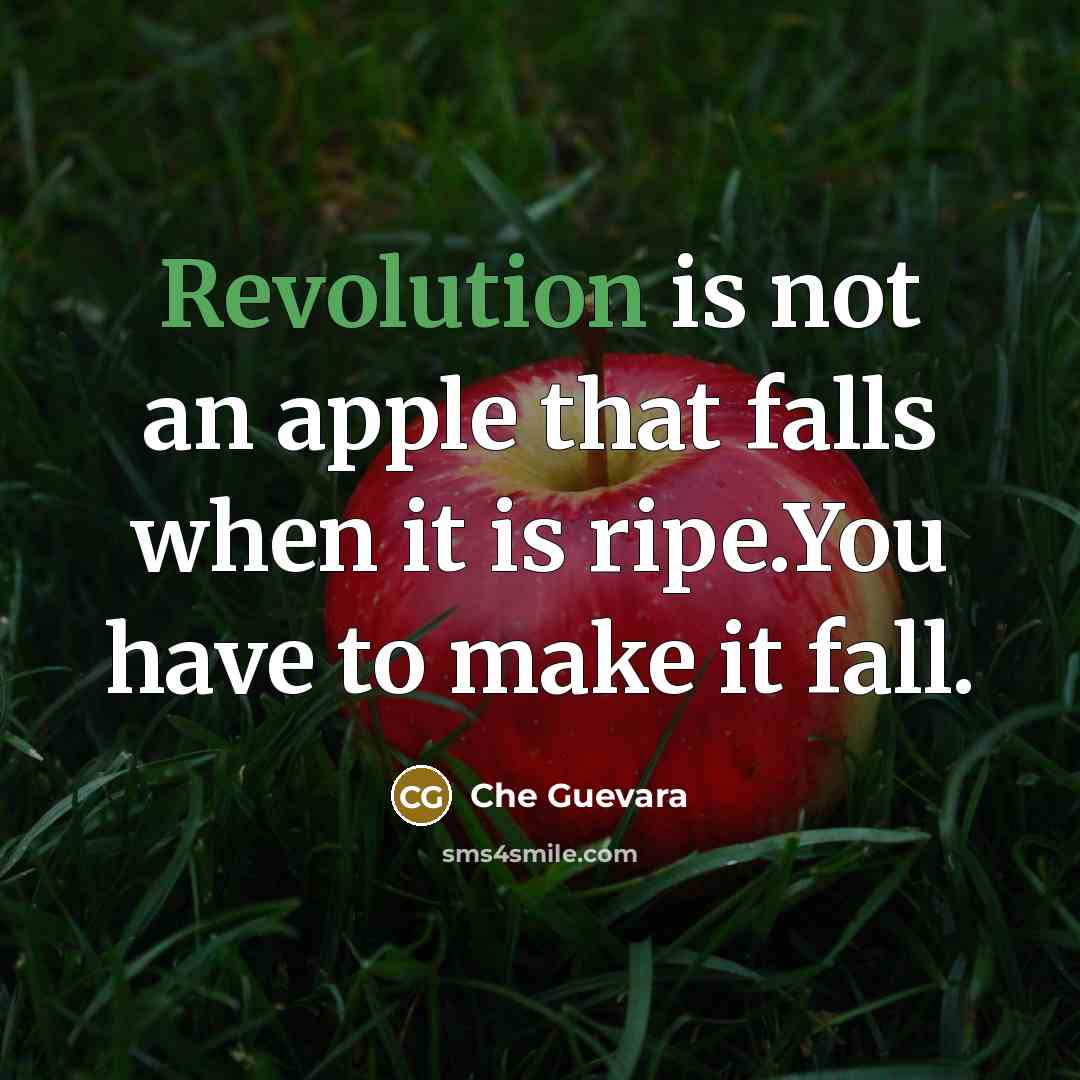 “Revolution is not an apple that falls when it is ripe.You have to make it fall.” quote by Che Guevara