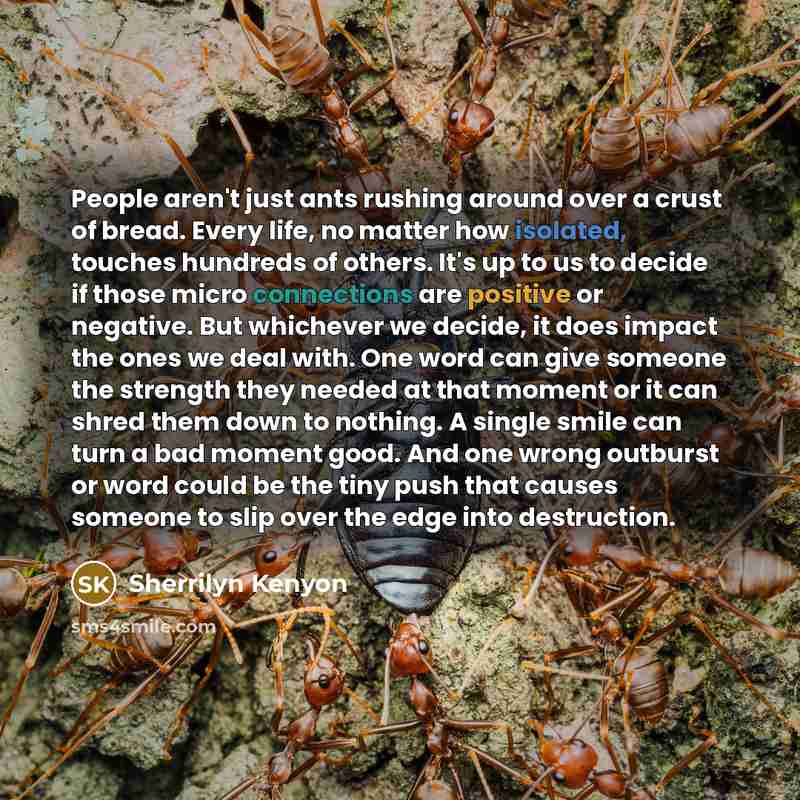 “People aren't just ants rushing around over a crust of bread. Every life, no matter how isolated, touches hundreds of others. It's up to us to decide if those micro connections are positive or negative. But whichever we decide, it does impact the ones we deal with. One word can give someone the…” quote by Sherrilyn Kenyon