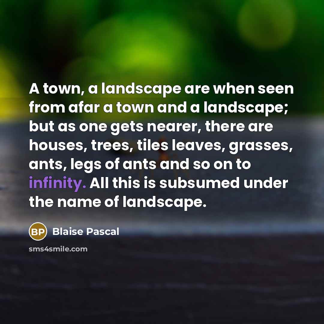 “A town, a landscape are when seen from afar a town and a landscape; but as one gets nearer, there are houses, trees, tiles leaves, grasses, ants, legs of ants and so on to infinity. All this is subsumed under the name of landscape.” quote by Blaise Pascal