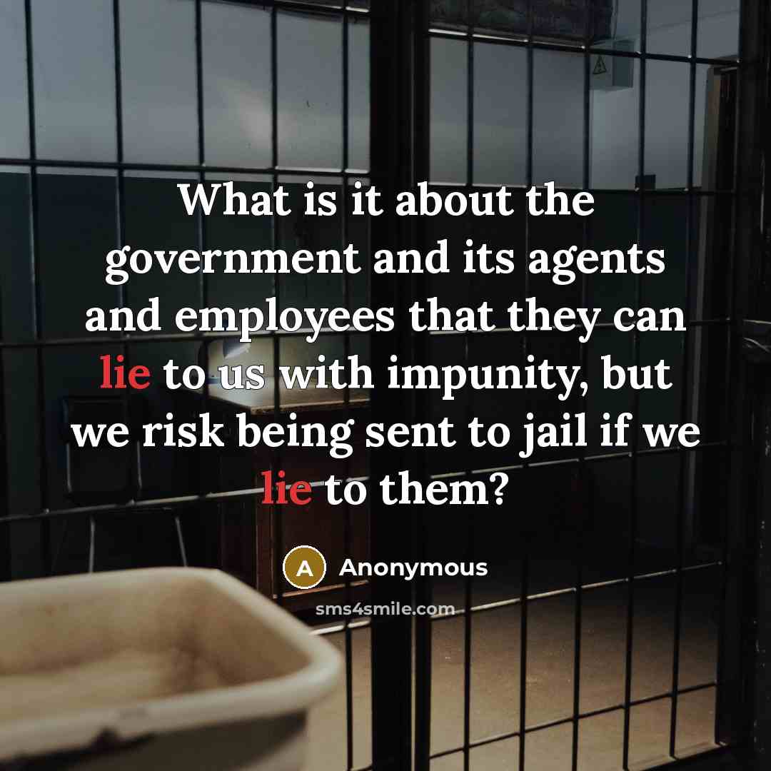 “What is it about the government and its agents and employees that they can lie to us with impunity, but we risk being sent to jail if we lie to them?” quote by Anonymous