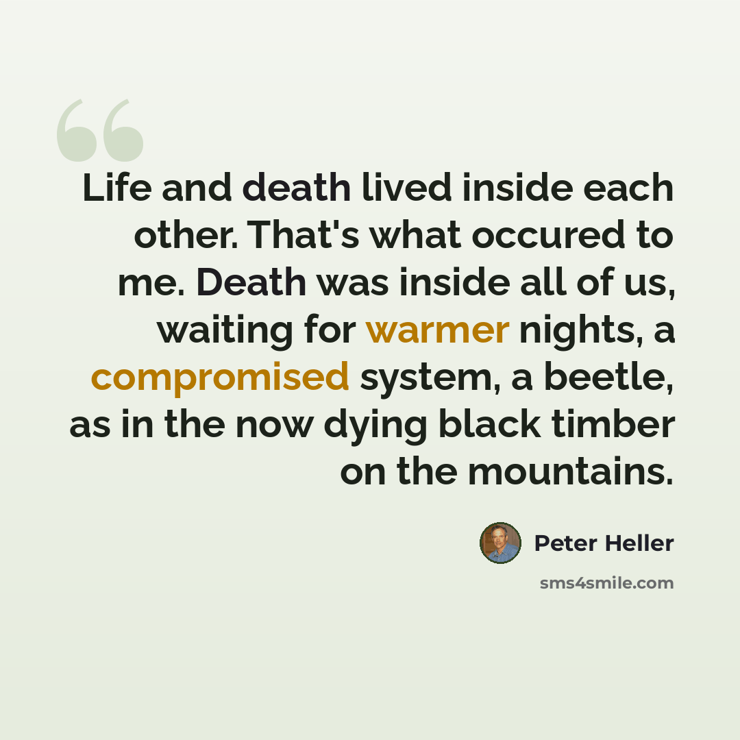 “Life and death lived inside each other. That's what occured to me. Death was inside all of us, waiting for warmer nights, a compromised system, a beetle, as in the now dying black timber on the mountains.” quote by Peter Heller