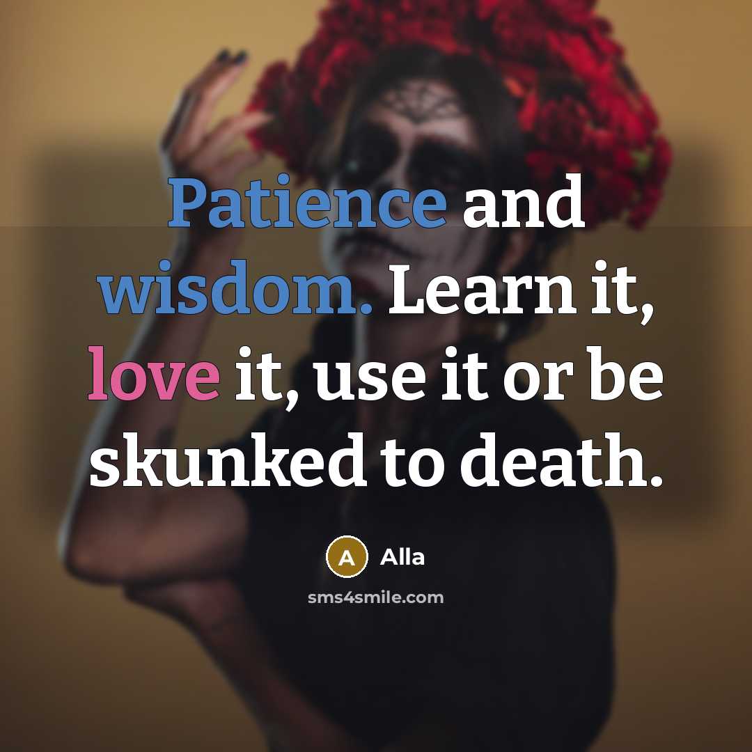 “Patience and wisdom. Learn it, love it, use it or be skunked to death.” quote by Alla
