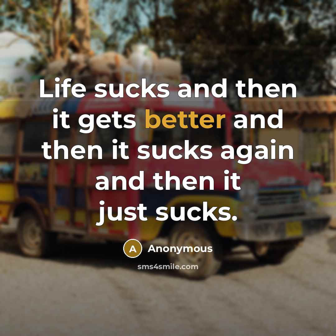 “Life sucks and then it gets better and then it sucks again and then it just sucks.” quote by Anonymous