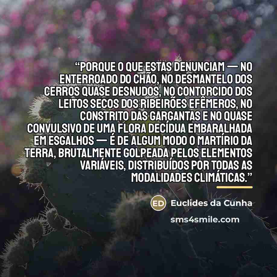 “Porque o que estas denunciam — no enterroado do chão, no desmantelo dos cerros quase desnudos, no contorcido dos leitos secos dos ribeirões efêmeros, no constrito das gargantas e no quase convulsivo de uma flora decídua embaralhada em esgalhos — é de algum modo o martírio da terra, brutalmente…” quote by Anonymous