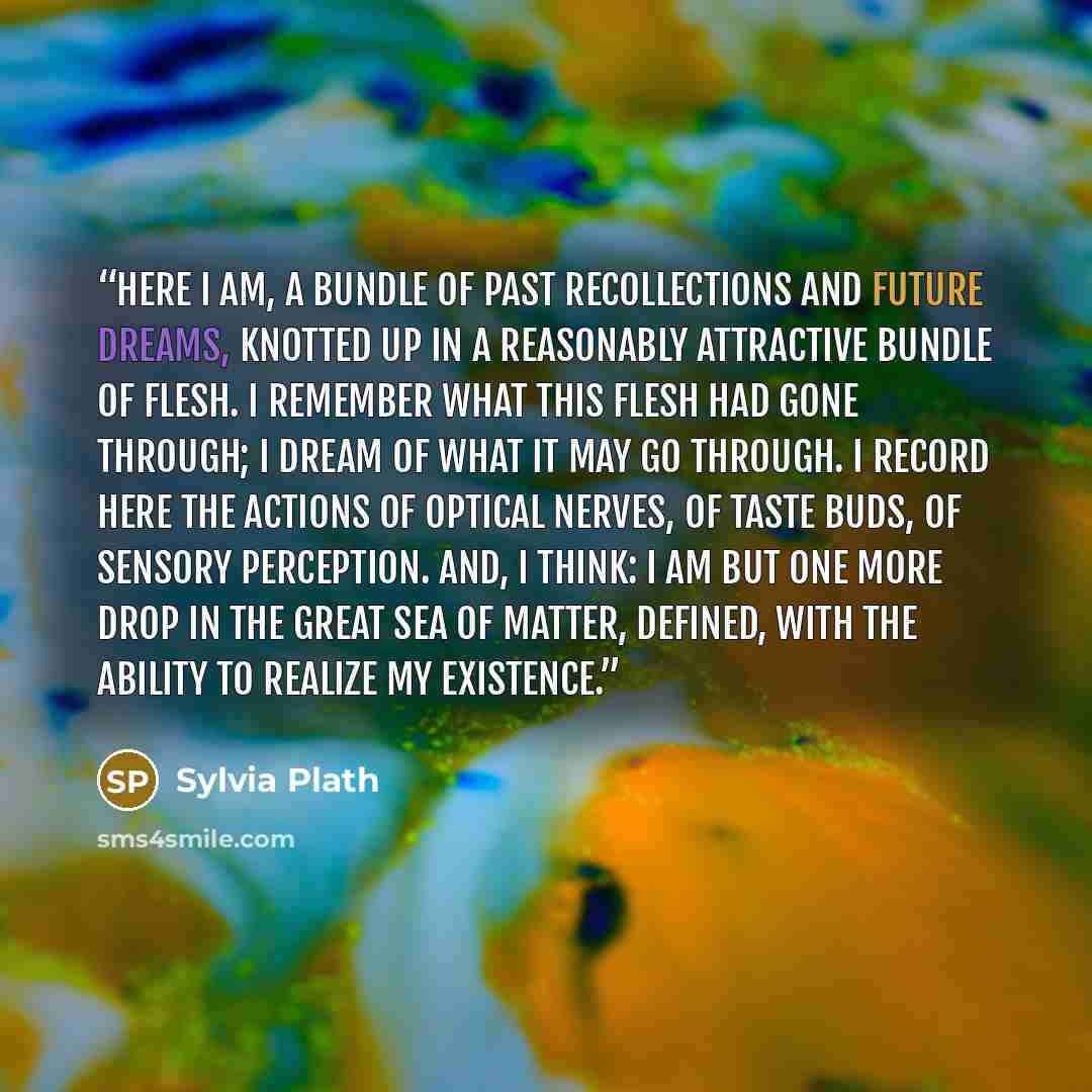 “Here I am, a bundle of past recollections and future dreams, knotted up in a reasonably attractive bundle of flesh. I remember what this flesh had gone through; I dream of what it may go through. I record here the actions of optical nerves, of taste buds, of sensory perception. And, I think: I am…” quote by Sylvia Plath