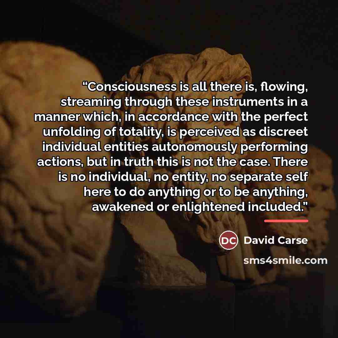 “Consciousness is all there is, flowing, streaming through these instruments in a manner which, in accordance with the perfect unfolding of totality, is perceived as discreet individual entities autonomously performing actions, but in truth this is not the case. There is no individual, no entity…” quote by David Carse