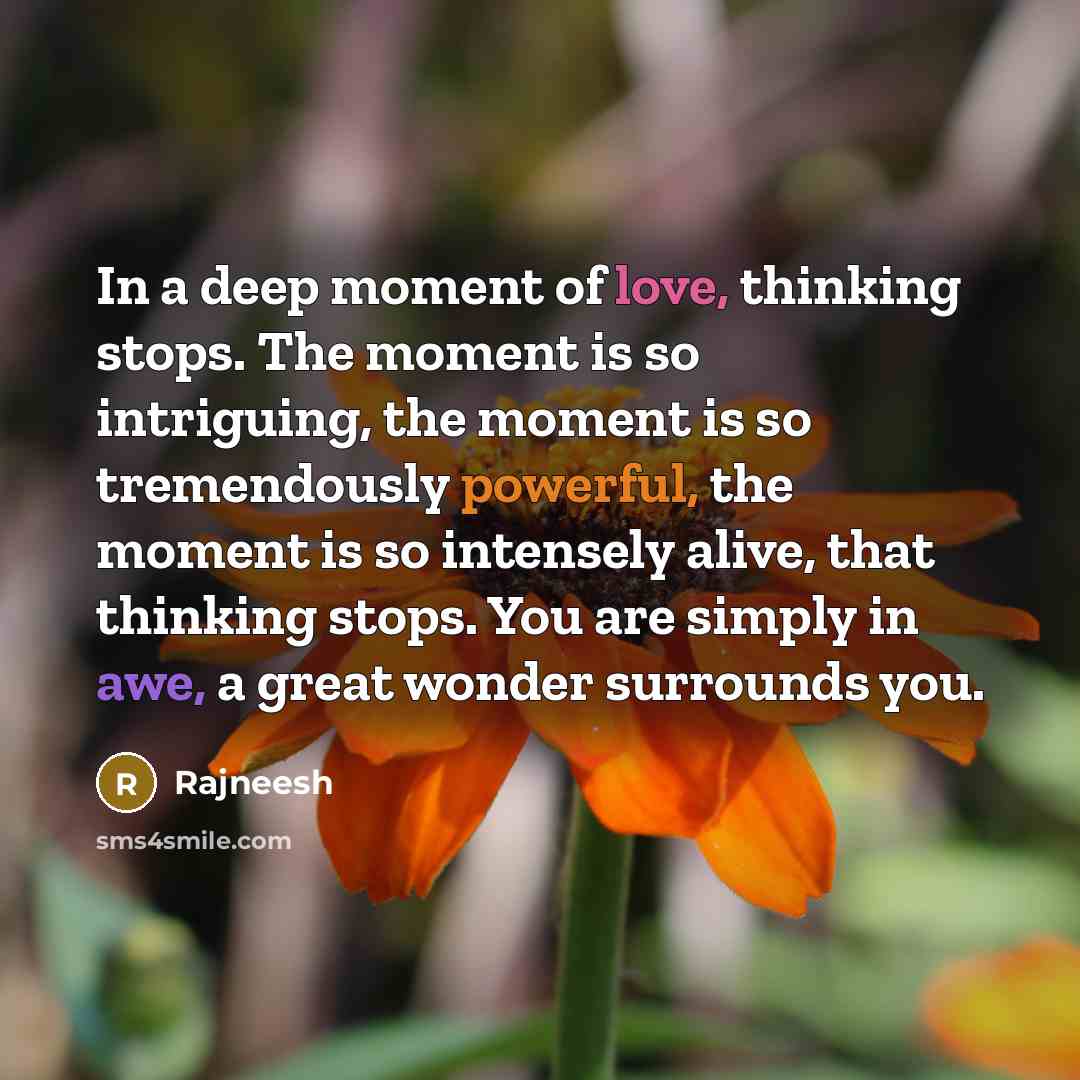 “In a deep moment of love, thinking stops. The moment is so intriguing, the moment is so tremendously powerful, the moment is so intensely alive, that thinking stops. You are simply in awe, a great wonder surrounds you.” quote by Rajneesh