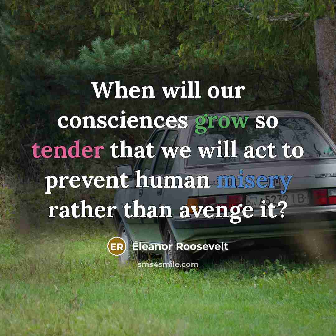 “When will our consciences grow so tender that we will act to prevent human misery rather than avenge it?” quote by Eleanor Roosevelt
