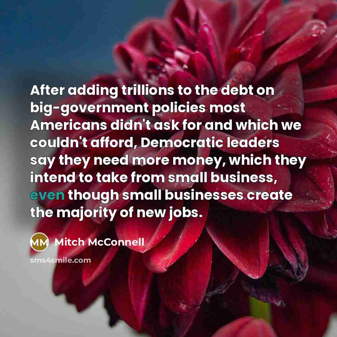 “After adding trillions to the debt on big-government policies most Americans didn't ask for and which we couldn't afford, Democratic leaders say they need more money, which they intend to take from small business, even though small businesses create the majority of new jobs.” quote by Mitch McConnell
