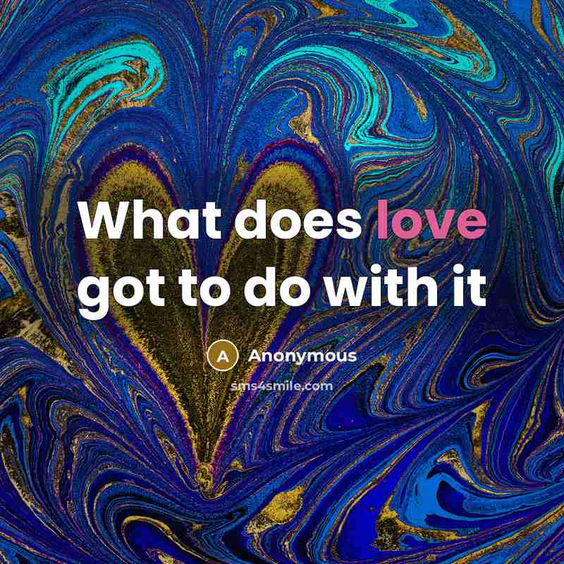 “What does love got to do with it” quote by Anonymous