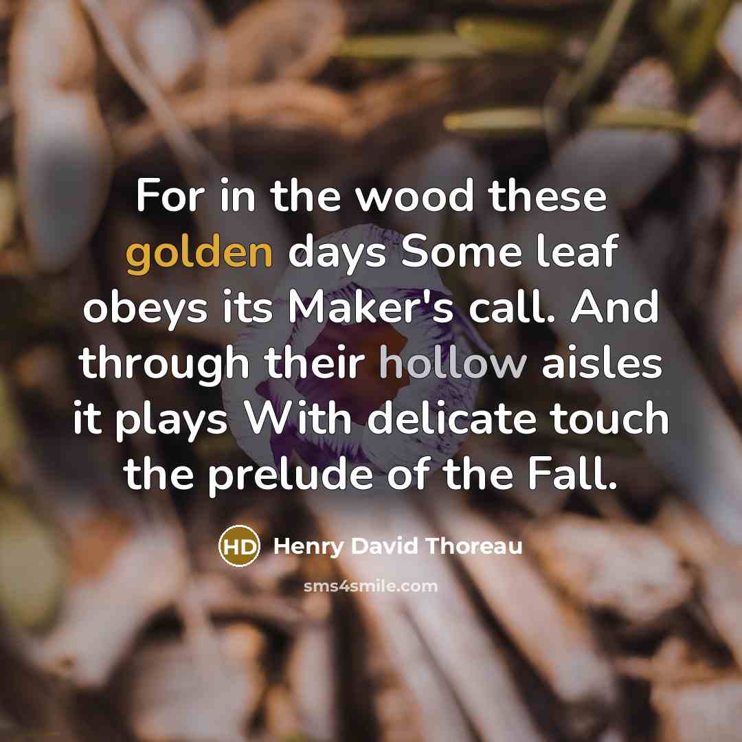 “For in the wood these golden days Some leaf obeys its Maker's call. And through their hollow aisles it plays With delicate touch the prelude of the Fall.” quote by Henry David Thoreau