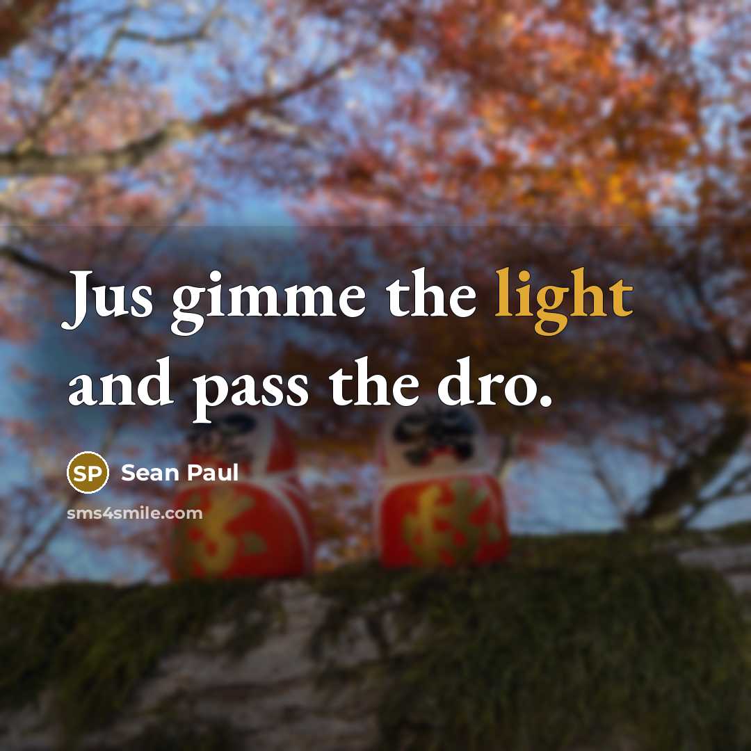 “Jus gimme the light and pass the dro.” quote by Sean Paul