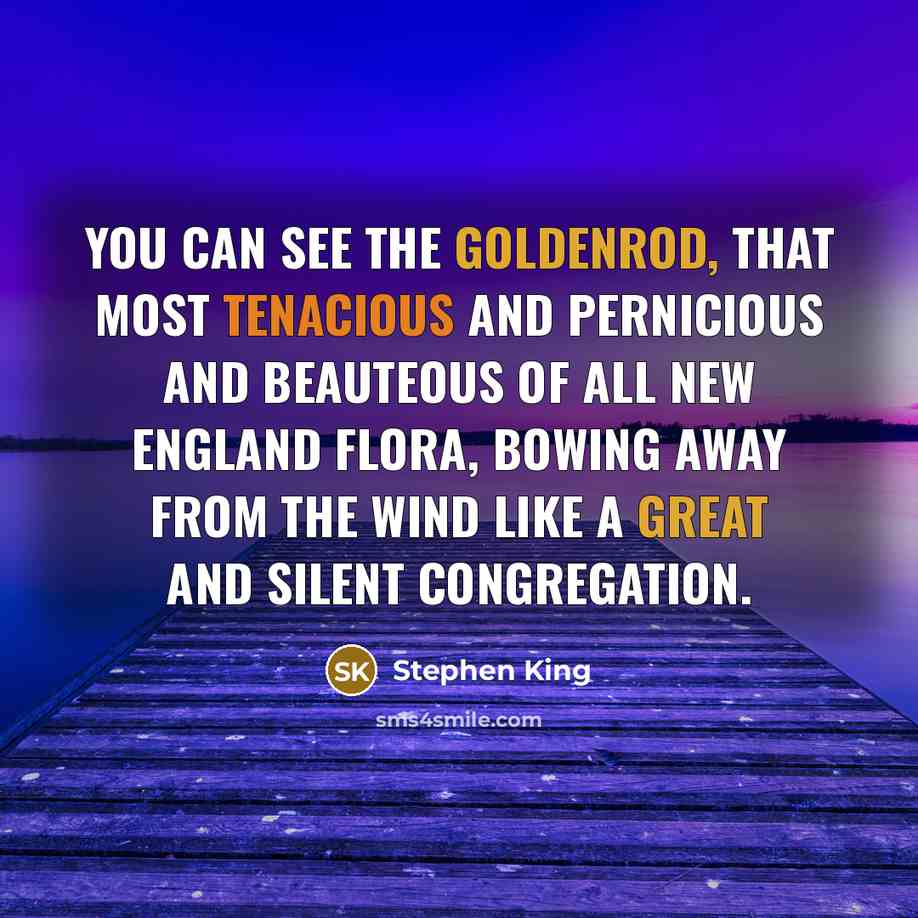 “You can see the goldenrod, that most tenacious and pernicious and beauteous of all New England flora, bowing away from the wind like a great and silent congregation.” quote by Stephen King