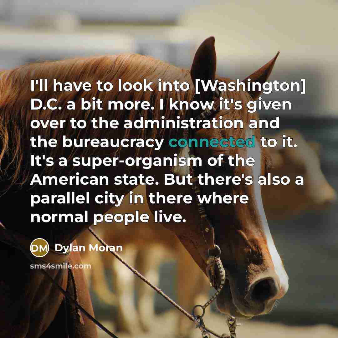 “I'll have to look into [Washington] D.C. a bit more. I know it's given over to the administration and the bureaucracy connected to it. It's a super-organism of the American state. But there's also a parallel city in there where normal people live.” quote by Dylan Moran