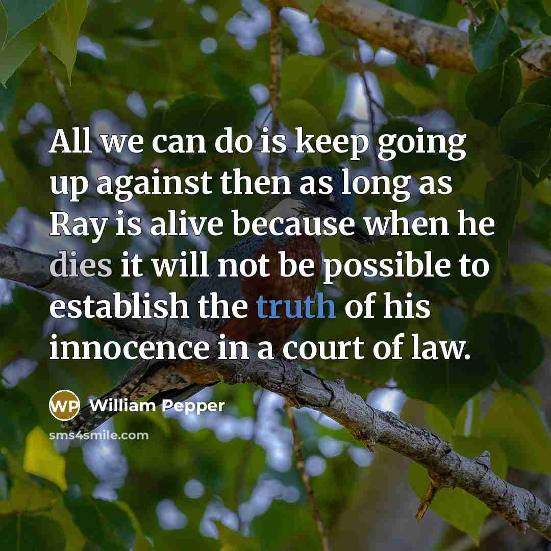 “All we can do is keep going up against then as long as Ray is alive because when he dies it will not be possible to establish the truth of his innocence in a court of law.” quote by William Pepper