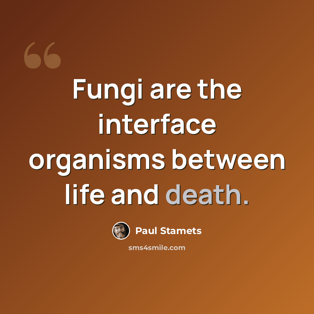“Fungi are the interface organisms between life and death.” quote by Paul Stamets