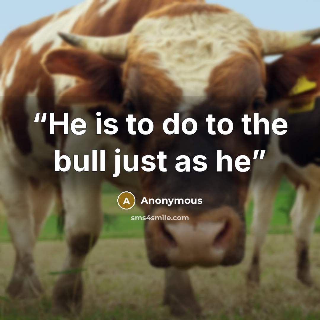 “He is to do to the bull just as he” quote by Anonymous