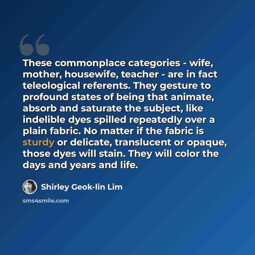 “These commonplace categories - wife, mother, housewife, teacher - are in fact teleological referents. They gesture to profound states of being that animate, absorb and saturate the subject, like indelible dyes spilled repeatedly over a plain fabric. No matter if the fabric is sturdy or delicate…” quote by Shirley Geok-lin Lim