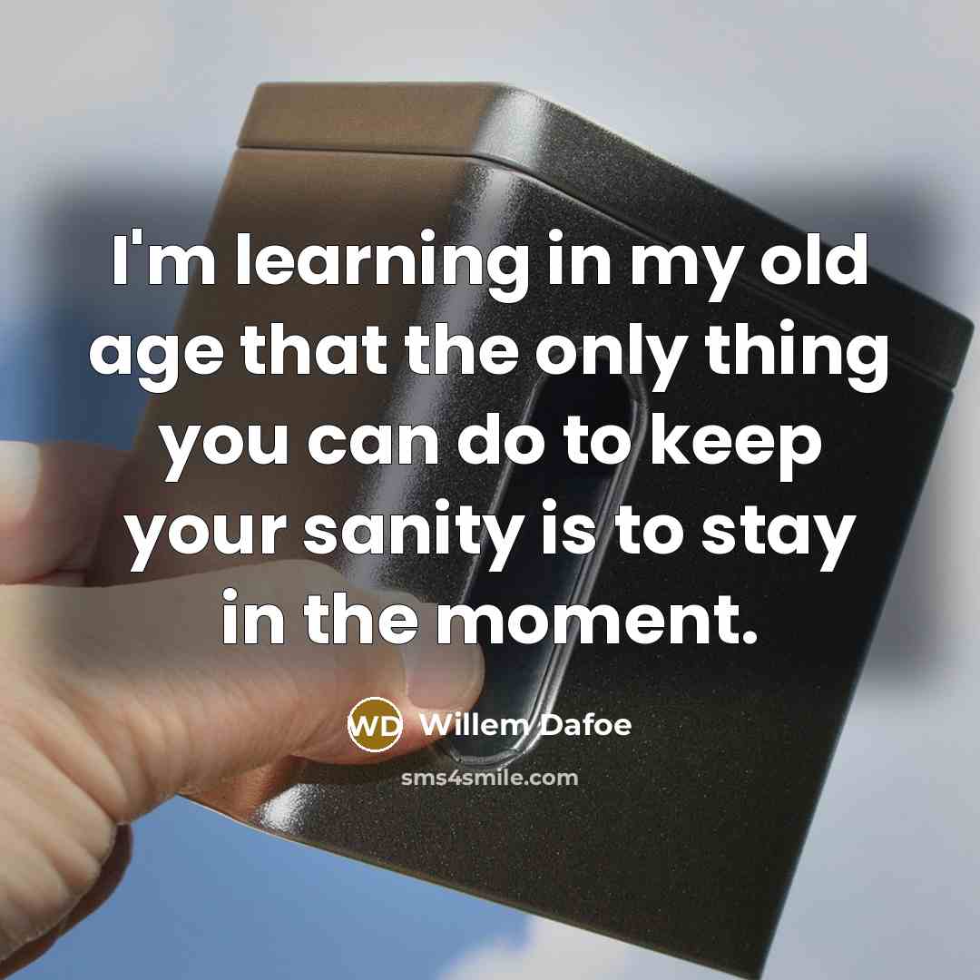 “I'm learning in my old age that the only thing you can do to keep your sanity is to stay in the moment.” quote by Willem Dafoe