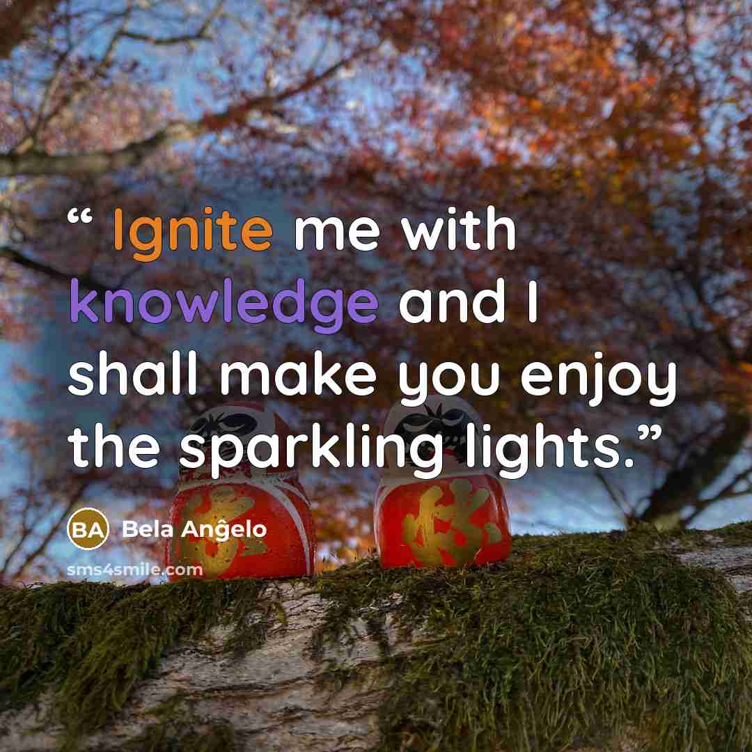 “Ignite me with knowledge and I shall make you enjoy the sparkling lights.” quote by Bela Anĝelo
