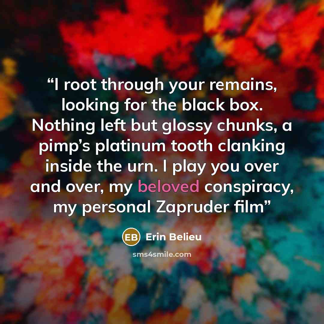 “I root through your remains, looking for the black box. Nothing left but glossy chunks, a pimp’s platinum tooth clanking inside the urn. I play you over and over, my beloved conspiracy, my personal Zapruder film” quote by Erin Belieu