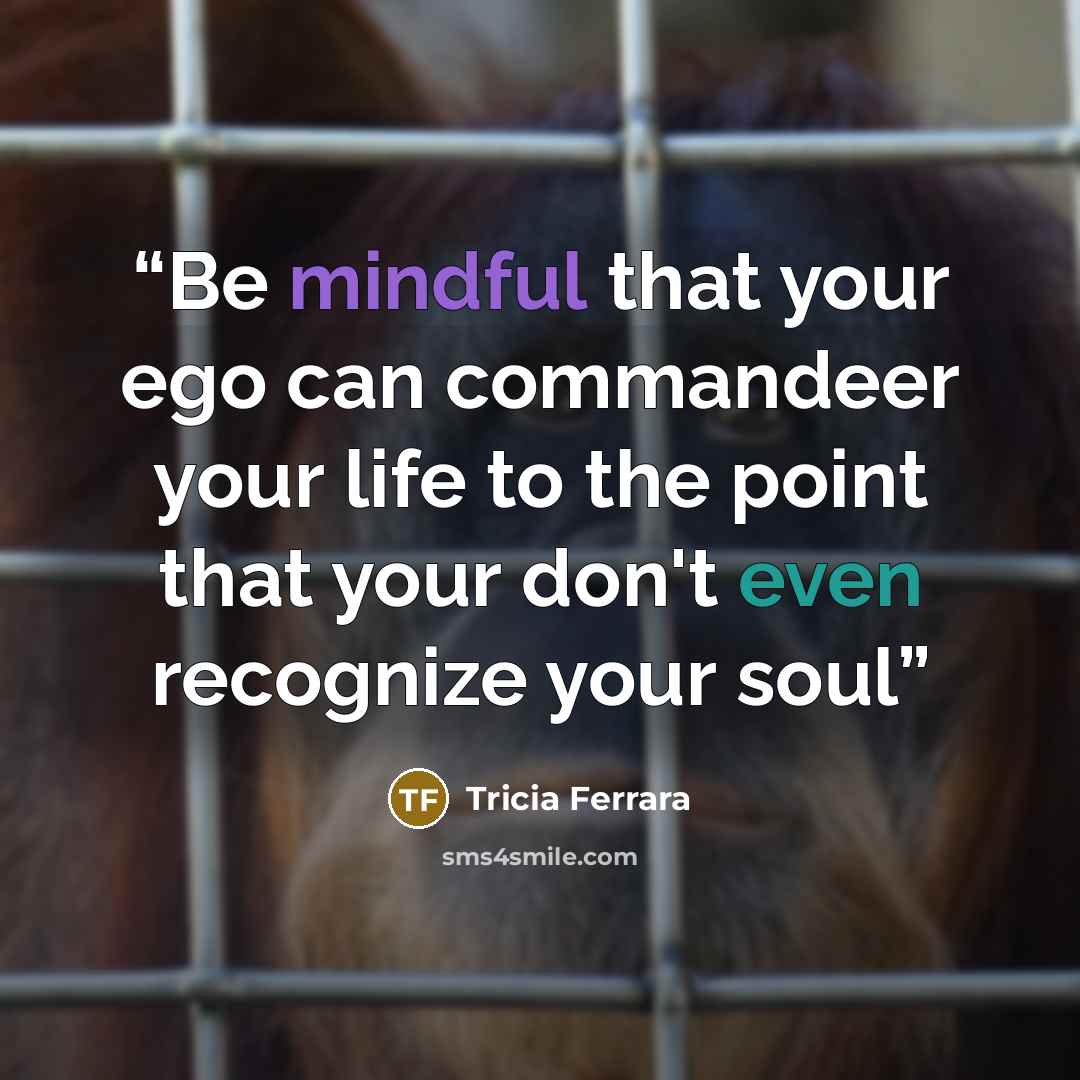 “Be mindful that your ego can commandeer your life to the point that your don't even recognize your soul” quote by Tricia Ferrara