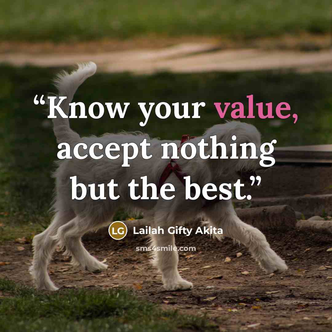 “Know your value, accept nothing but the best.” quote by Lailah Gifty Akita