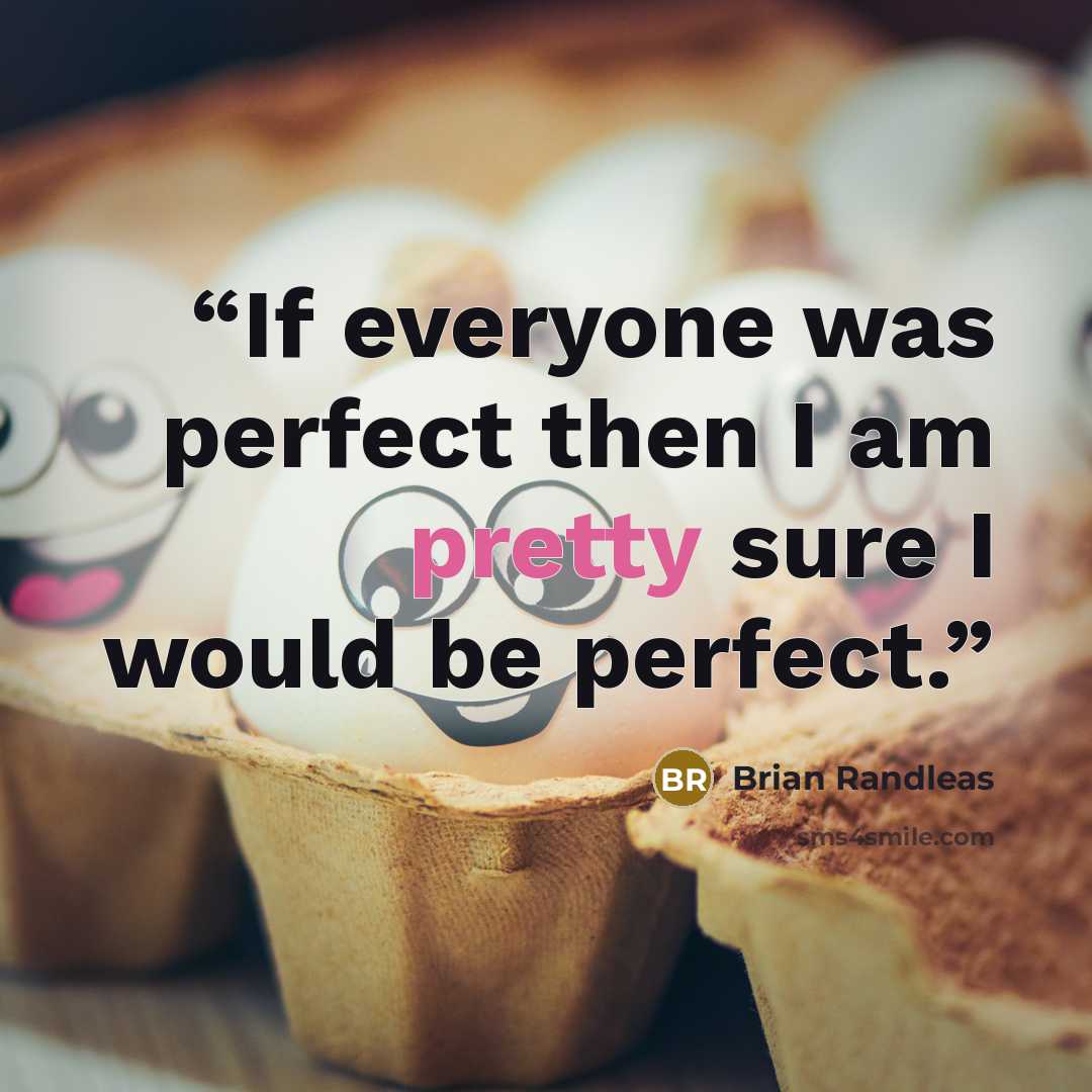 “If everyone was perfect then I am pretty sure I would be perfect.” quote by Brian Randleas