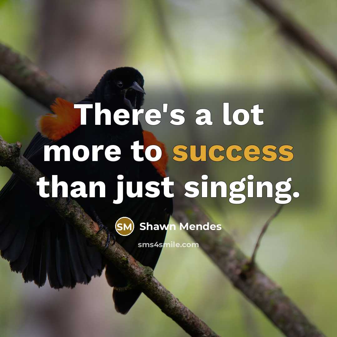 “There's a lot more to success than just singing.” quote by Shawn Mendes
