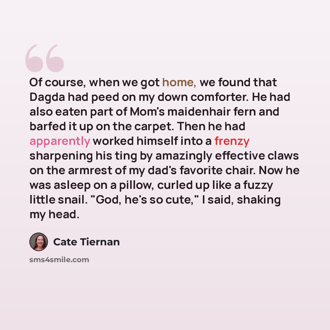 “Of course, when we got home, we found that Dagda had peed on my down comforter. He had also eaten part of Mom's maidenhair fern and barfed it up on the carpet. Then he had apparently worked himself into a frenzy sharpening his ting by amazingly effective claws on the armrest of my dad's favorite…” quote by Cate Tiernan
