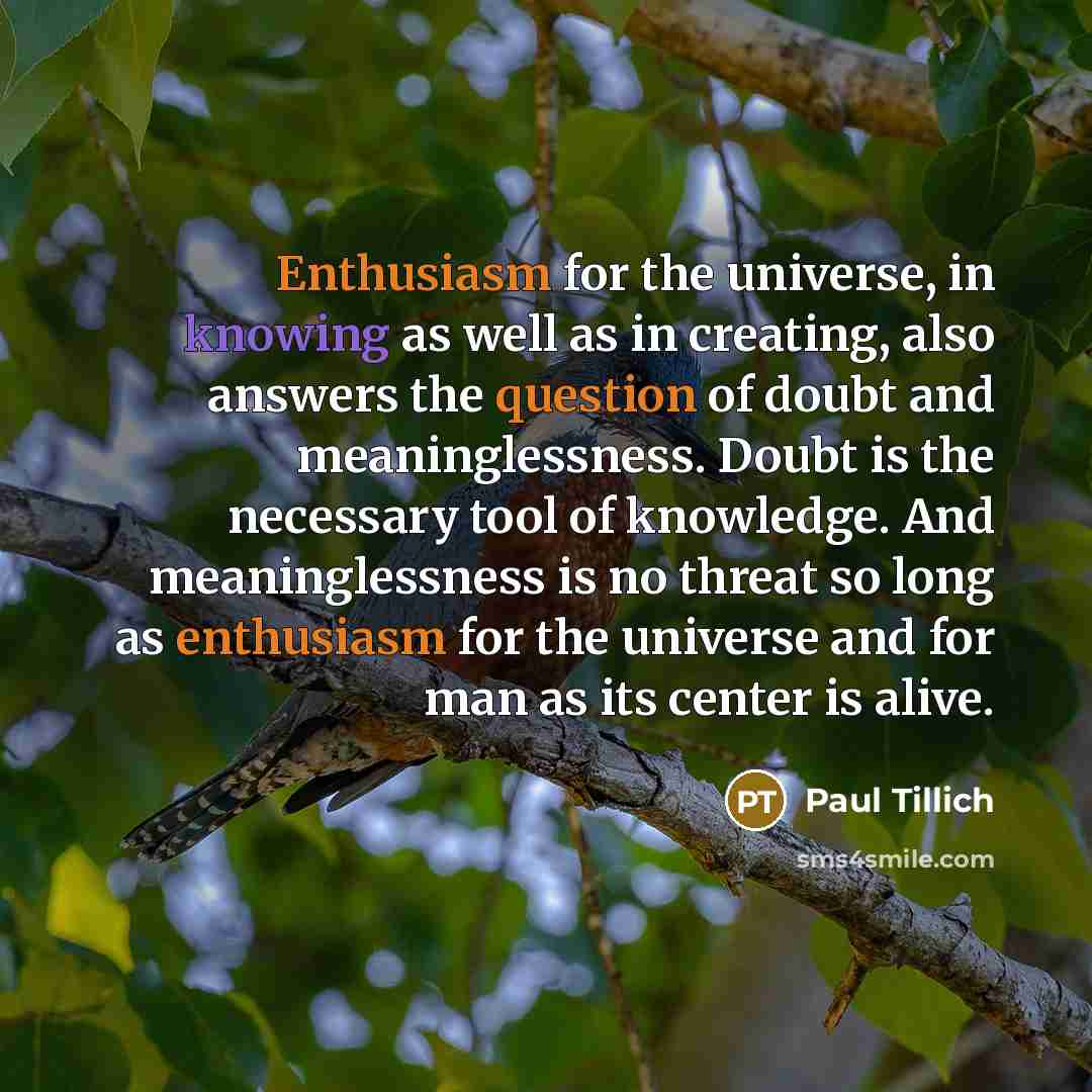 “Enthusiasm for the universe, in knowing as well as in creating, also answers the question of doubt and meaninglessness. Doubt is the necessary tool of knowledge. And meaninglessness is no threat so long as enthusiasm for the universe and for man as its center is alive.” quote by Paul Tillich