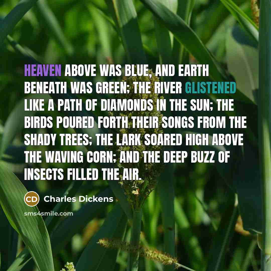 “Heaven above was blue, and earth beneath was green; the river glistened like a path of diamonds in the sun; the birds poured forth their songs from the shady trees; the lark soared high above the waving corn; and the deep buzz of insects filled the air.” quote by Charles Dickens