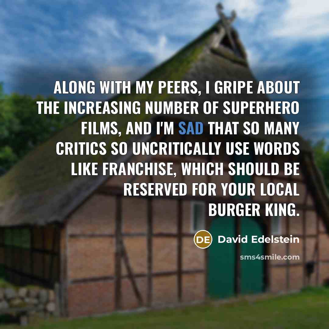 “Along with my peers, I gripe about the increasing number of superhero films, and I'm sad that so many critics so uncritically use words like franchise, which should be reserved for your local Burger King.” quote by David Edelstein