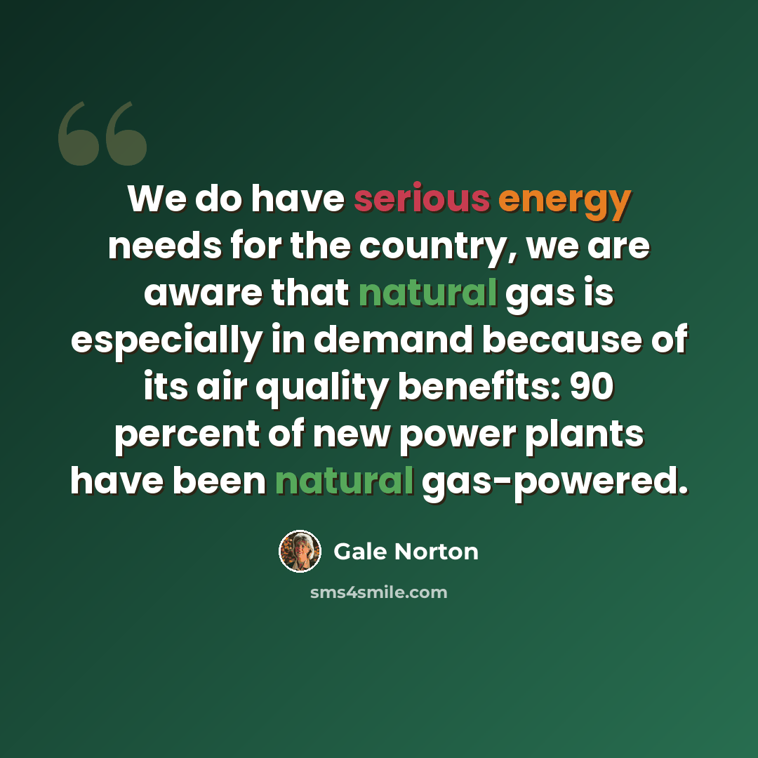 “We do have serious energy needs for the country, we are aware that natural gas is especially in demand because of its air quality benefits: 90 percent of new power plants have been natural gas-powered.” quote by Gale Norton