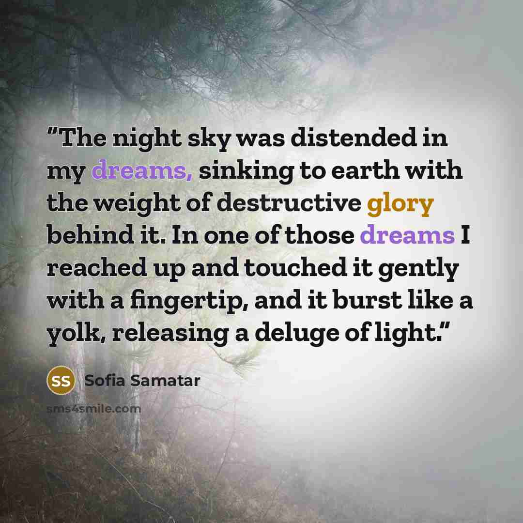 “The night sky was distended in my dreams, sinking to earth with the weight of destructive glory behind it. In one of those dreams I reached up and touched it gently with a fingertip, and it burst like a yolk, releasing a deluge of light.” quote by Sofia Samatar